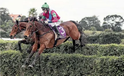  ?? LAWRENCE SMITH. ?? Richard Cully will be back to ride Jack Romanov (pictured) and Ngatira Gold on Great Northern day in a fortnight.