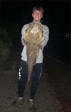  ?? William Carnevale ?? Weeks ago, William Carnevale of Allegheny Township caught and released two flatheads at night on the Allegheny River.