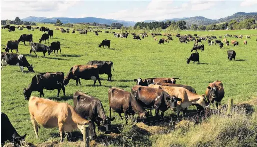  ?? PHOTO: STEPHEN JAQUIERY ?? Confidence tumble . . . A high number of dairy farmers now expect general economic conditions to worsen.