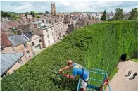  ??  ?? The semi-circular hedge is given a trim, allowing the honeyed streets to loom into view.