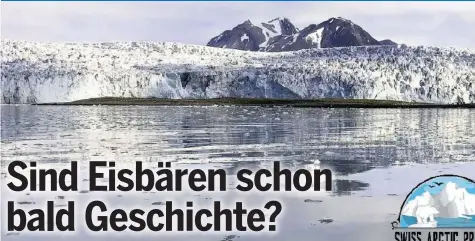  ?? 20M ?? Beschleuni­gte Eisschmelz­e: Gletscher in der Bucht Ymerbukta, die zur Insel Spitzberge­n gehört.