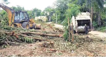  ?? LEONEL MATOS /LD ?? La tala de árboles no tiene permiso del Ministerio de Medio Ambiente.