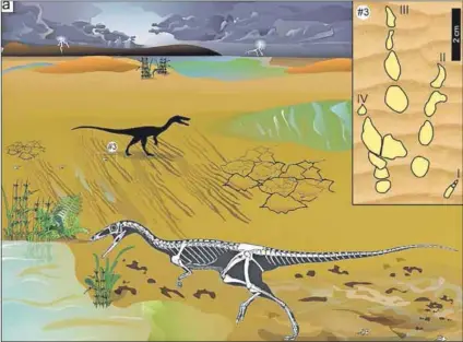  ??  ?? Factual fiction: An artist’s interpreta­tion of the Grallator, which stood about two metres high and grew to a length of about three metres. It is likely that this animal made the trackway found at Storm Shelter in the Eastern Cape.