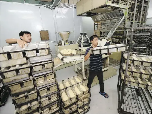  ?? photos : Dimas Ardian / Bloomberg news ?? Employees arrange baking trays filled with dough at the Tan Ek Tjoan bread factory in Ciputat, Banten Province, Indonesia.