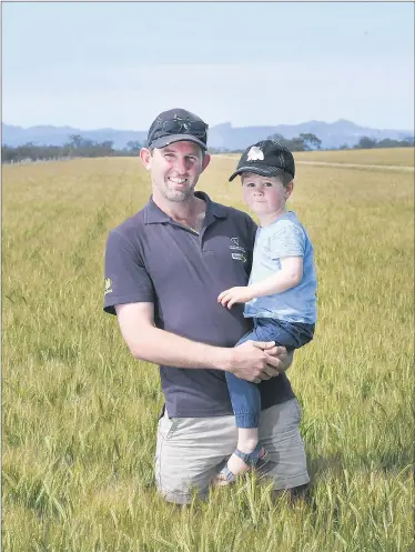  ?? Pictures: PAUL CARRACHER ?? POSITIVE: Murtoa farmer John Delahunty and his son Harry, 2, in a barley crop. Mr Delahunty said a ‘nice, cool finish’ would help the region’s farmers reap rewards this harvest.