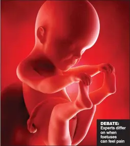  ??  ?? DEBATE:
Experts differ on when foetuses can feel pain