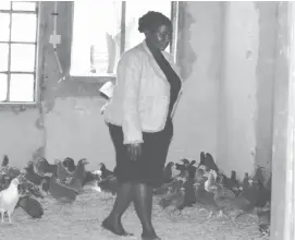  ??  ?? Mrs Sindiso Masuku (nee-Ncube) inside a fowl run with six weeks old chicks after she attended a free range chickens workshop held at a Figtree hotel, Matabelela­nd South on Wednesday