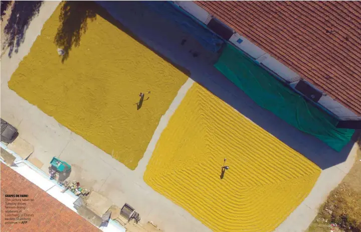  ?? — AFP ?? This picture taken on Tuesday shows farmers drying soybeans in Liaocheng in China’s eastern Shandong province.