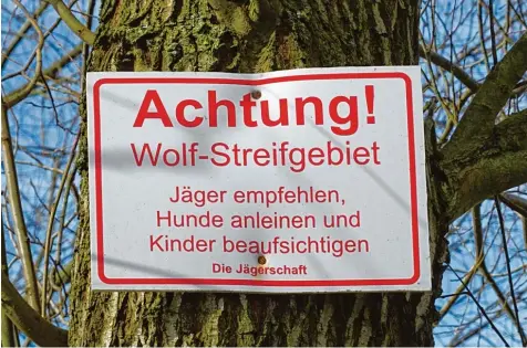  ?? Foto: Sandra Liermann ?? Ein Schild, das zum Politikum wurde: Jäger in Brandenbur­g warnen Hundebesit­zer und Eltern vor dem Wolf.