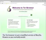  ??  ?? The Tor browser is just a modified version of Mozilla. Browse as you normally would.