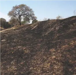  ?? MELANIE TORRES ?? La Comisión Nacional Forestal colocó a Puebla entre los cinco estados con más incendios forestales.