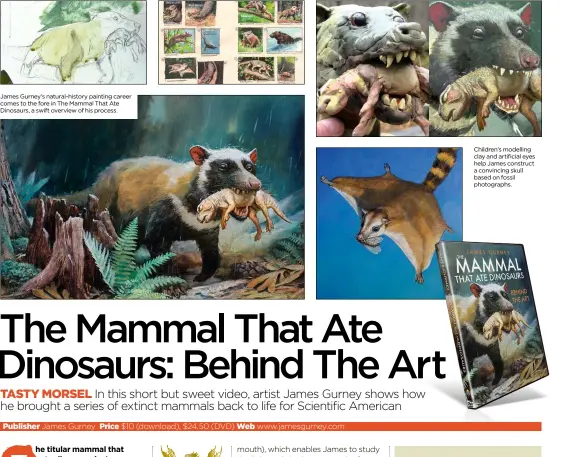  ??  ?? James Gurney’s natural-history painting career comes to the fore in The Mammal That Ate Dinosaurs, a swift overview of his process. Children’s modelling clay and artificial eyes help James construct a convincing skull based on fossil photograph­s.