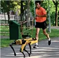  ?? AFP ?? A man jogs past a four-legged robot called Spot at the Bishan-Ang Moh Kio Park in Singapore. —