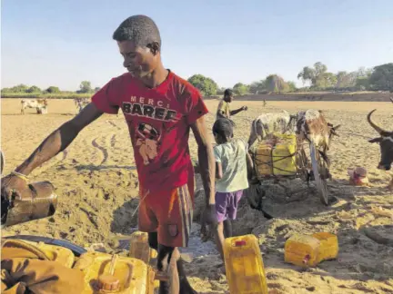  ?? (Photo: AP) ?? Men dig for water in the dry Mandrare riverbed, in Madagascar, on November 9, 2020. As a consequenc­e of three straight years of drought, along with historic neglect by the Government of the remote region as well as the novel coronaviru­s pandemic,1.5 million people are in need of emergency food assistance, according to the UN World Food Programme.