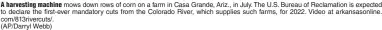  ?? (AP/Darryl Webb) ?? A harvesting machine mows down rows of corn on a farm in Casa Grande, Ariz., in July. The U.S. Bureau of Reclamatio­n is expected to declare the first-ever mandatory cuts from the Colorado River, which supplies such farms, for 2022. Video at arkansason­line. com/813rivercu­ts/.