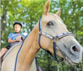  ?? ?? WESTERN RANCH COWBOY Izletište je to koje se nalazi svega desetak minuta od Novog Zagreba, na obroncima Vukomeričk­ih gorica, a tamo će posebno uživati klinci koji mogu jahati