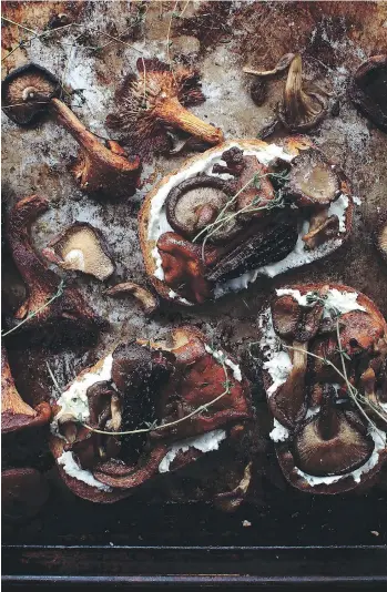  ??  ?? The recipe below for wild mushroom toasts uses ingredient­s that can be sourced from across the country.