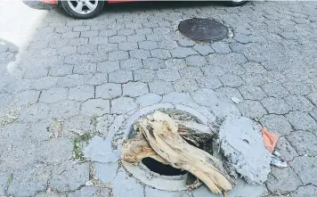  ?? FOTO: EFRAÍN SALGADO ?? Un pedazo de tronco fue colocado por los vecinos para evitar que un carro caiga en el sumidero.