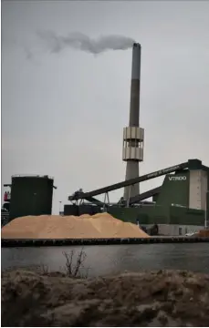  ?? Foto: Brian Karmark ?? Verdo har et stort kraftvarme­vaerk på havnen i Randers, og virksomhed­en er havnens største kunde.