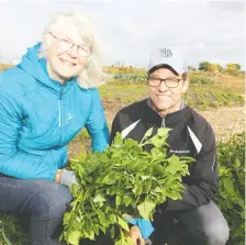  ?? BRENDAN MILLER ?? Land of Dreams urban farm project manager Rod Olson, with project organizer Audrey Smith.