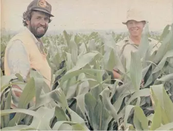  ?? FW ARCHIVE ?? Maize manager John Campbell (left) and Andrew Lund inspecting a stand of Pioneer 6405 entered for the Ten-Ton Club competitio­n.