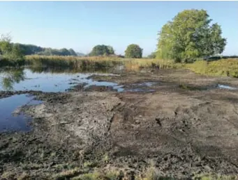  ?? FOTO'S JAAK LUYS ?? Door de begroeiing weg te halen zijn de vijvers opnieuw zichtbaar.