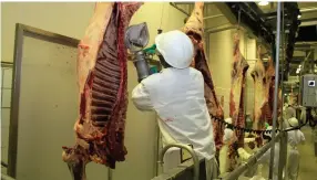  ??  ?? Botswana has a robust beef sector despite challenges
