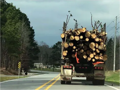  ?? (Special to The
Commercial/Mary Hightower/University of Arkansas System Division of Agricultur­e) ?? A log truck heads north on Arkansas 9 in Saline County. Officials say 2021 was a roller coaster for the timber business. However, there were plenty of positives.