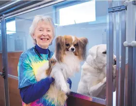  ?? EDDIE MOORE/JOURNAL ?? Sharon Newcomb, owner of Top Dog Pet Resort in Santa Fe, with Clearlake Willis, her champion papillon, left, and puppy Zeus, an akbash, at her grooming and training facility on Wednesday.