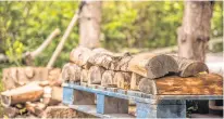  ?? PAUL SMITH PHOTO ?? This is the beginnings of my properly stacked wood pile. I’m trying.