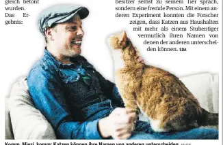  ?? KNAPE ?? Komm, Miezi, komm: Katzen können ihre Namen von anderen unterschei­den.