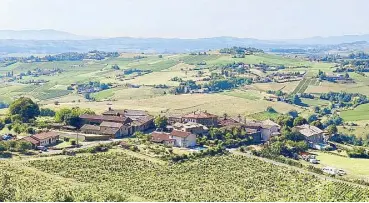  ??  ?? Vineyards in Beaujolais grow gamay grape. Beaujolais Nouveau is released on the third Thursday of November and is greeted with wine parties across France.