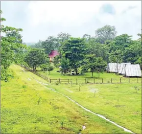  ?? SUPPLIED ?? A farm stay in Koh Kong province’s Thma Bang district, whose owner is committed to protecting the environmen­t and improving the livelihood­s of locals.