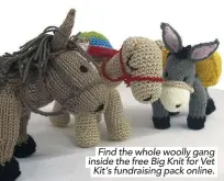  ??  ?? Find the whole woolly gang. . inside the free Big Knit for Vet. . Kit’s fundraisin­g pack online..