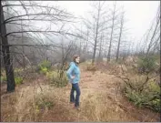  ??  ?? ECOLOGIST Michelle Halbur, who lost her in-laws in the Tubbs fire, beholds regrowth in the preserve.