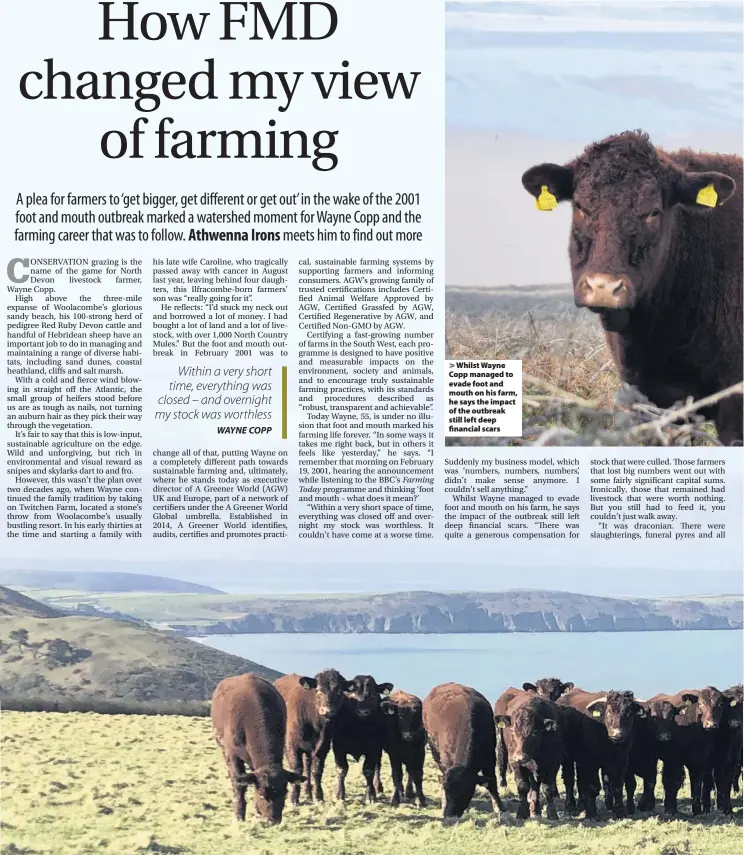  ??  ?? > Whilst Wayne Copp managed to evade foot and mouth on his farm, he says the impact of the outbreak still left deep financial scars