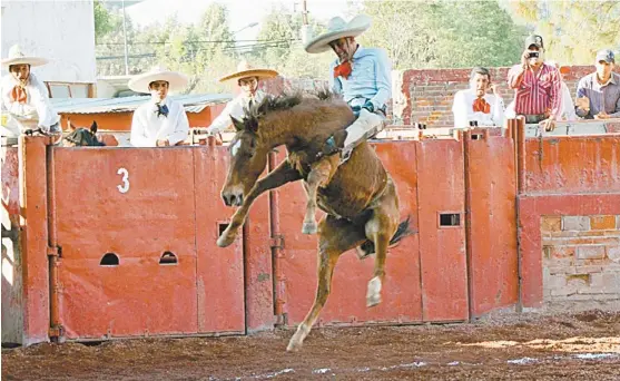  ?? FOTO: CORTESÍA FMCH ?? Guillermo Segura, de Tamariz “CYM” en una excelente jineteada