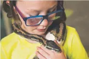  ??  ?? Lily Young, 8, holds a ball python named Diesel Rose Underpants at the Colorado Gators Reptile Park in Mosca, about 15 miles north of Alamosa.