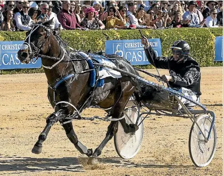  ??  ?? Two-time New Zealand Trotting Cup winner Lazarus has won the Inter Dominion final.