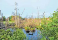  ?? ARCHIVFOTO: BISCHOFBER­GER ?? Die Region Allgäu-Oberschwab­en mit den Landkreise­n Ravensburg, Biberach und Sigmaringe­n besticht als charakteri­stische Natur- und Kulturland­schaft mit ihren Mooren. Im Bild: das Arrisriede­r Moos bei Kißlegg.