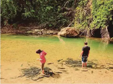  ??  ?? Visitors enjoying fish massage on their feet in Sungai Moroli at Kampung Luanti Baru.