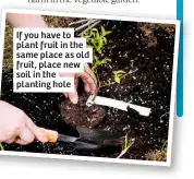  ??  ?? If you have to plant fruit in the same place as old fruit, place new soil in the planting hole