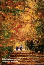 ?? ?? Trois-Rivières sous les couleurs d’automne
