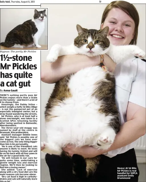 Mr. Pickles The Cat - All You Need to Know BEFORE You Go (with Photos)