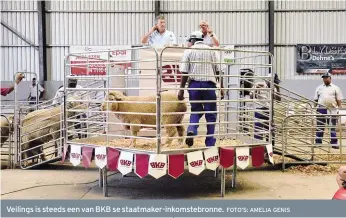  ?? FOTO’S: AMELIA GENIS ?? Veilings is steeds een van BKB se staatmaker-inkomstebr­onne.