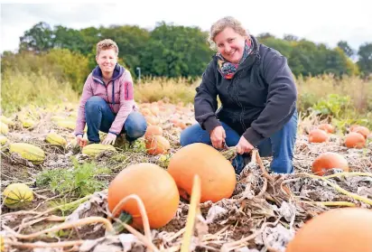  ?? FOTO: JANA BAUCH ?? Sonja und Andrea Hütz (v.l.) auf ihrem Feld in Liedberg hinter dem Lendershof vor den Spaghetti- und Halloween-Kürbissen.