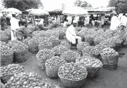  ??  ?? Local tomatoes packed in baskets