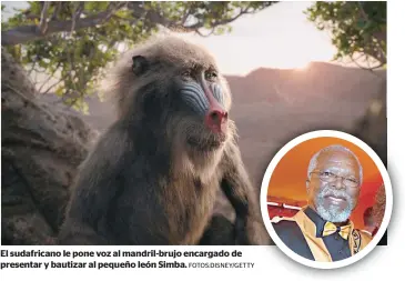  ?? FOTOS:DISNEY/GETTY ?? El sudafrican­o le pone voz al mandril-brujo encargado de presentar y bautizar al pequeño león Simba.