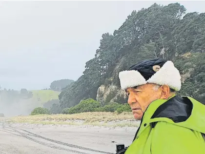  ?? Photo / Diane Mccarthy ?? Rodger Allan is worried sandbanks where dotterels once nested at Pikowai and much of the p¯ıngao grass that supports them are being washed away.