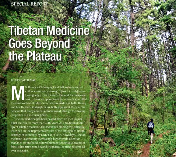  ??  ?? A Tibetan medicine expert walks through the virgin forest of Nyingchi in search of Tibetan medicinal plants.